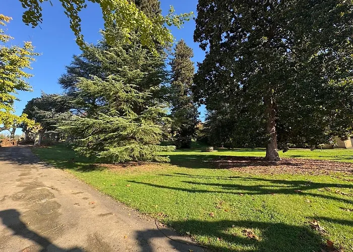 Cocooning - Situe A Seulement 3 Minutes A Pied Du Coeur De Lejlighed *